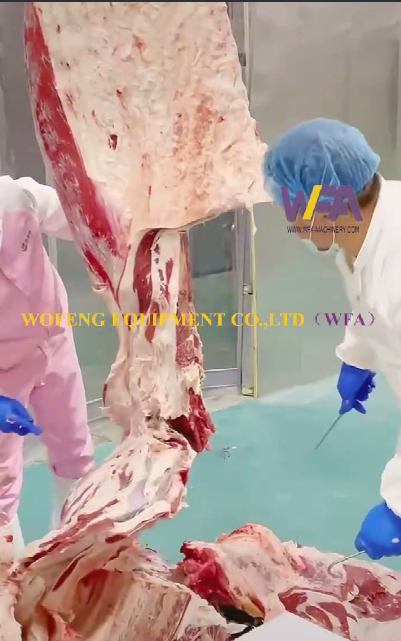 How To Reasonable Debonning Cow Carcass To Quality Beef by WFA Technology Team Guide.
