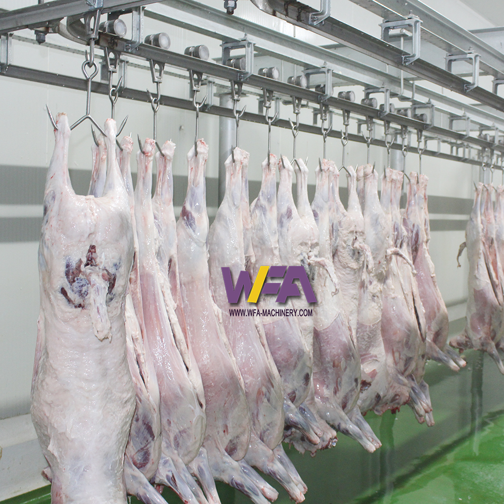 WFA Top Selling Complete Sheep Slaughter Line Equipment