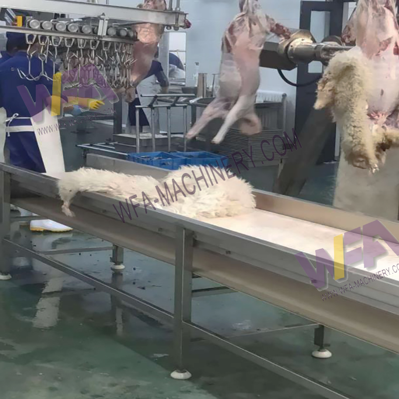 Goat Slaughter Machine Sheep Skin Conveyor Belt  Butcher Equipment