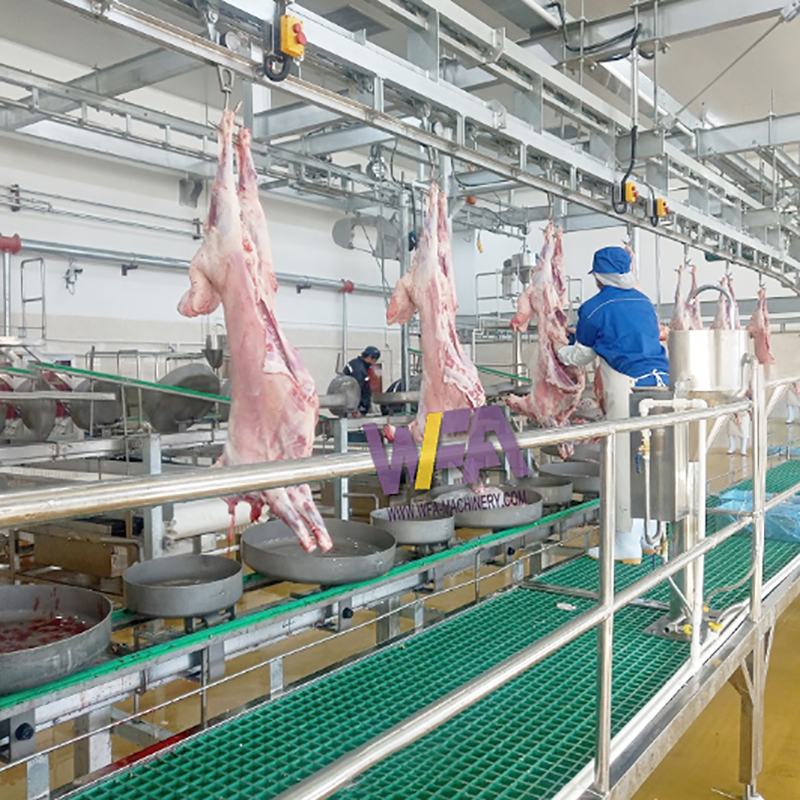 Butcher equipment Carcass Processing Dressing Conveyor Abattoir Machine