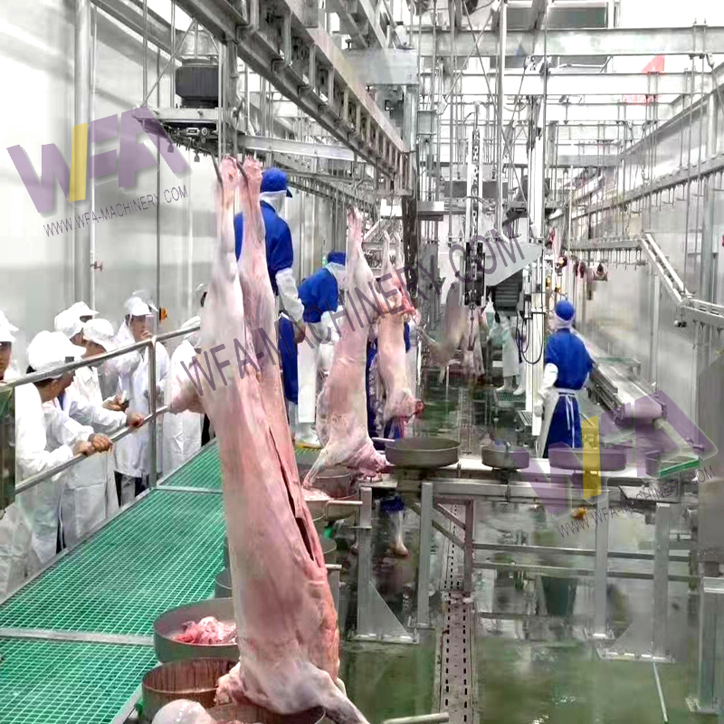 Sheep Slaughterhouse Goat Abattoir Plant Processing Plant