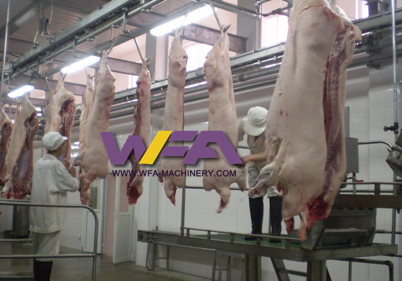 Operation Steps for China's Modern 6,000 Pig Per Shift Slaughtering Line Project