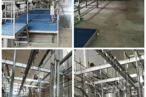 WFA enterprise supplier the 500cattle & 1000sheep slaughtering line project in perfect ending.