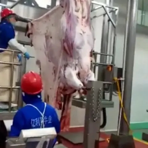 Cattle Carcass Skinning Machinery For Slaughtering