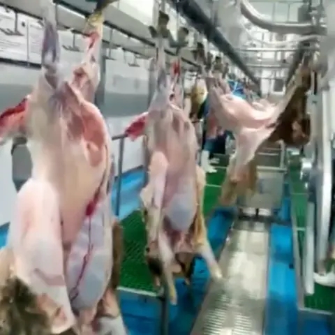 Sheep Slaughterhouse Machinery