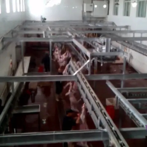 Sheep Slaughter House