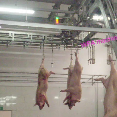 Pig slaughter line