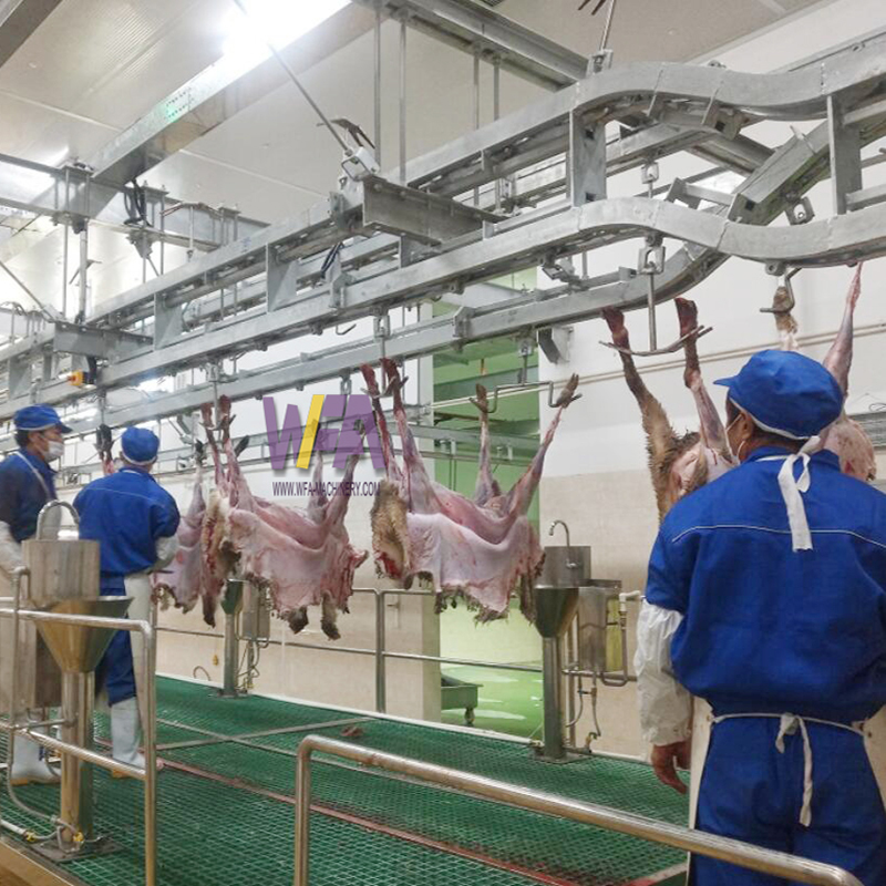 Butchery Equipment Mini Slaughter House of Goat Dressing Line Hindleg Conveyor WFA FS-CS02