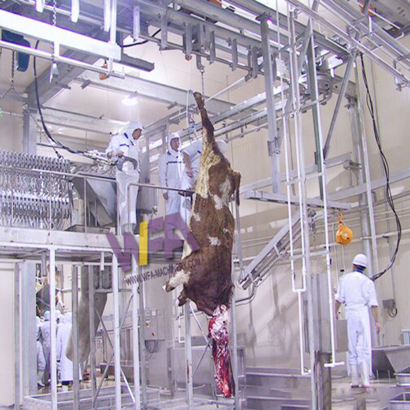 Abattoir Machine Famous Brand Slaughterhouse of Cattle Manual Bleeding Convey Rail WFA FC-KB08-M