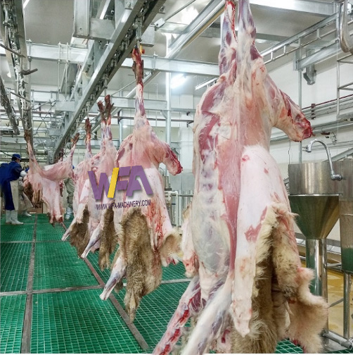 WFA factory 100 sheep per hour slaughtering line configuration