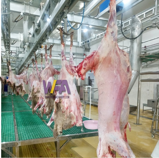 WFA factory sheep abattoir slaughtering line configuration