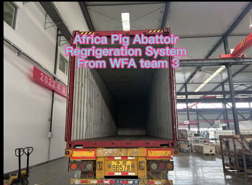 WFA Pig Slaughtering Equipment To AFRICA Slaughterhouse Plant The professional abattoir equipment technology design by WFA engineer team 3