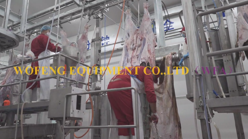 Human Butchering Slaughterhouse Livestock Abattoir Slaughtering Equipment Peeling Machine For Slaughter House