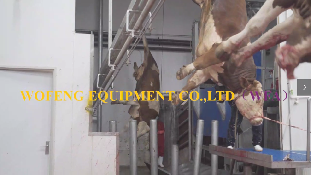 Cattle Slaughter House Abattoir Machine Slaughtering Equipment With WFA Abattoir