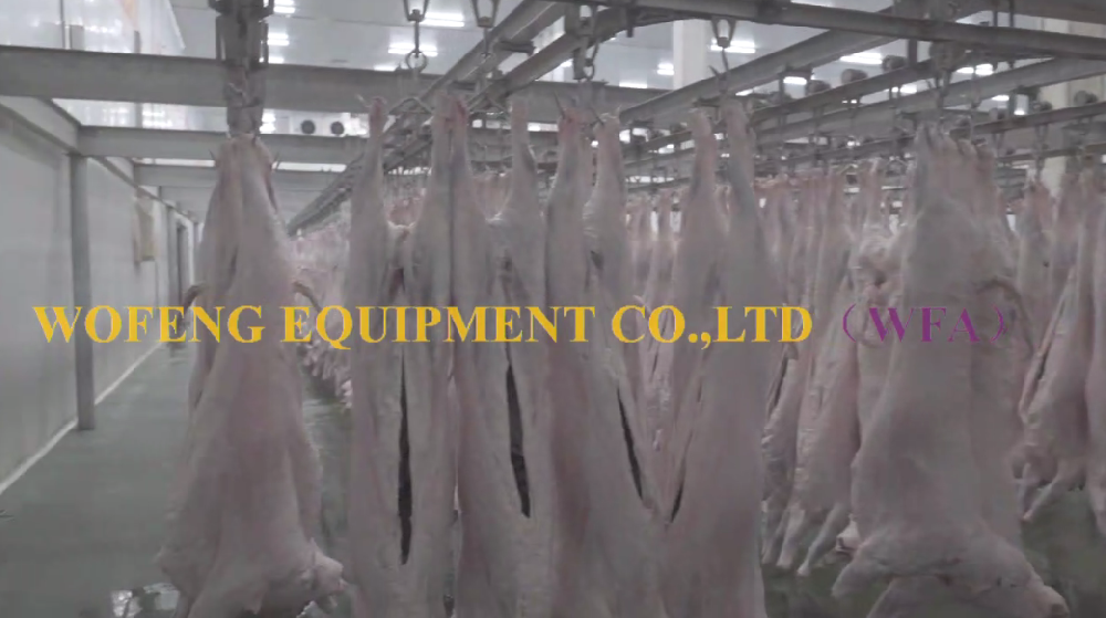 WFA Factory Turnkey Sheep Goat Lamb Abattoir Slaughtering Line Equipment For Livestock Slaughterhouse Machine