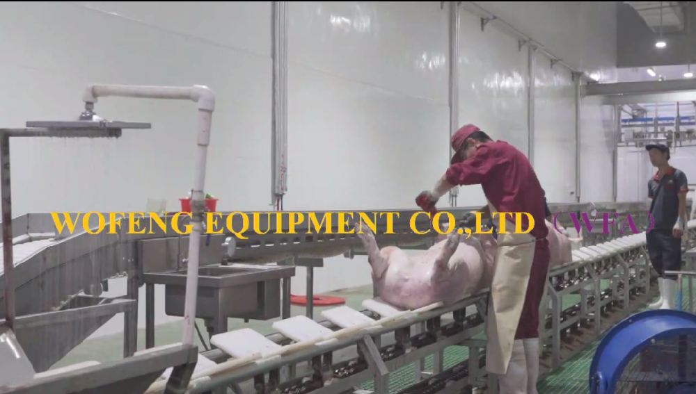 Cheap Price Slaughterhouse Pig Slaughterhouse Equipment Pig Pre-hiding Conveyor for Pig Scalding Machine