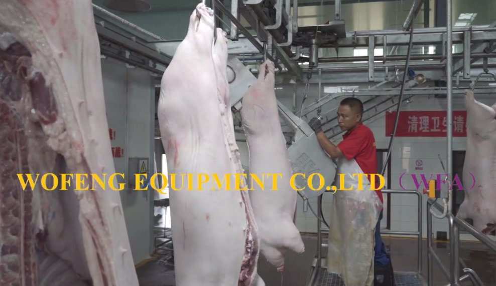 Complete Abattoir Pork Slaughtering Plant Half Carcass Band Splitting Saw For Hog Slaughterhouse Sow Slaughter House Equipment