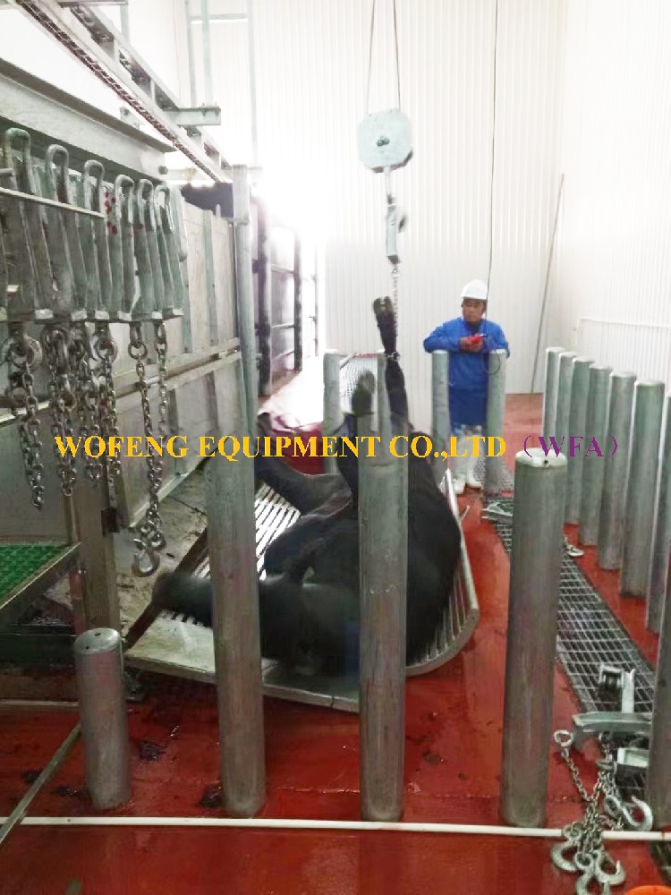 Slaughtering Equipment Cattle Bleeding Hoist Cow Abattoir Project