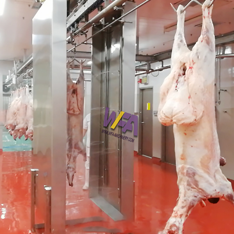 Slaughterhouse Equipment Goat Carcass Washing Machine Butcher Project