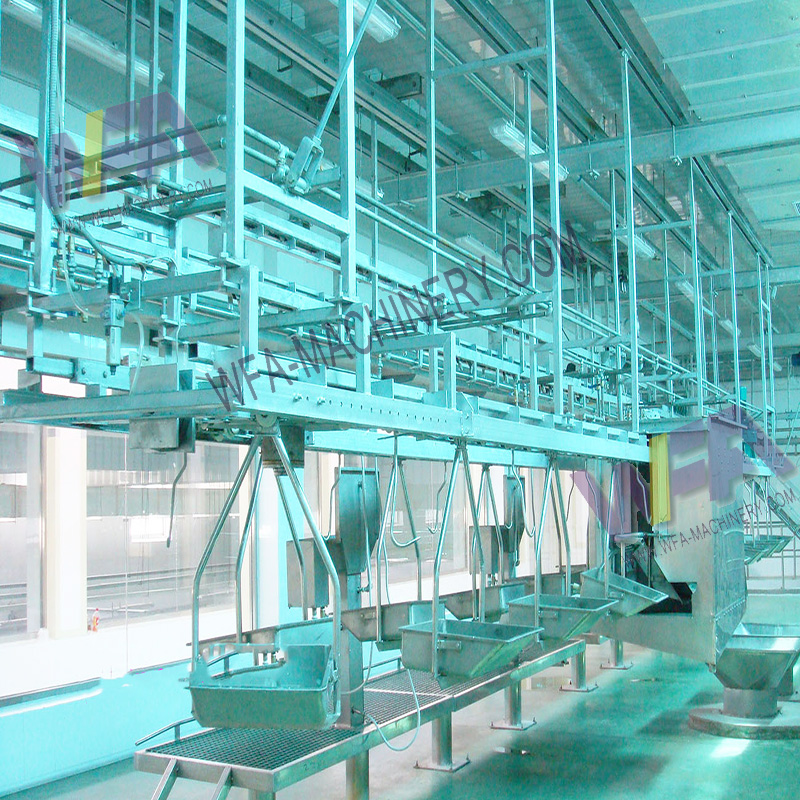 Sheep Abattoir By Products Quarantaine Conveyor Slaughter Machine