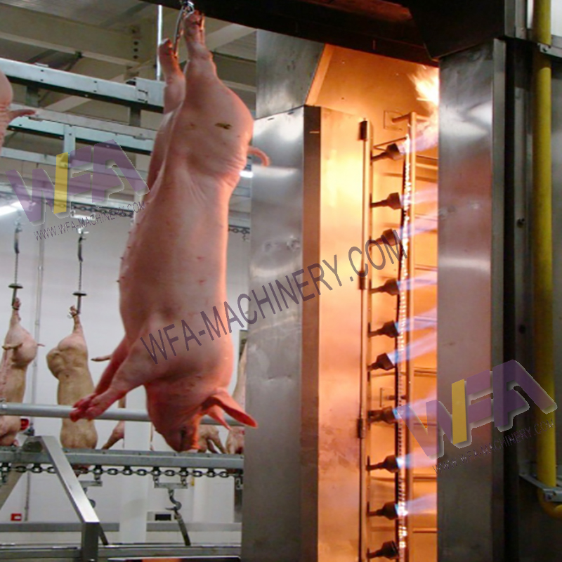 Complete Solution Abattoir Machine Pig Singer Burner Slaughterhouse Equipment