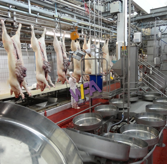 Pig Slaughter House Equipment Pork Processing Plant
