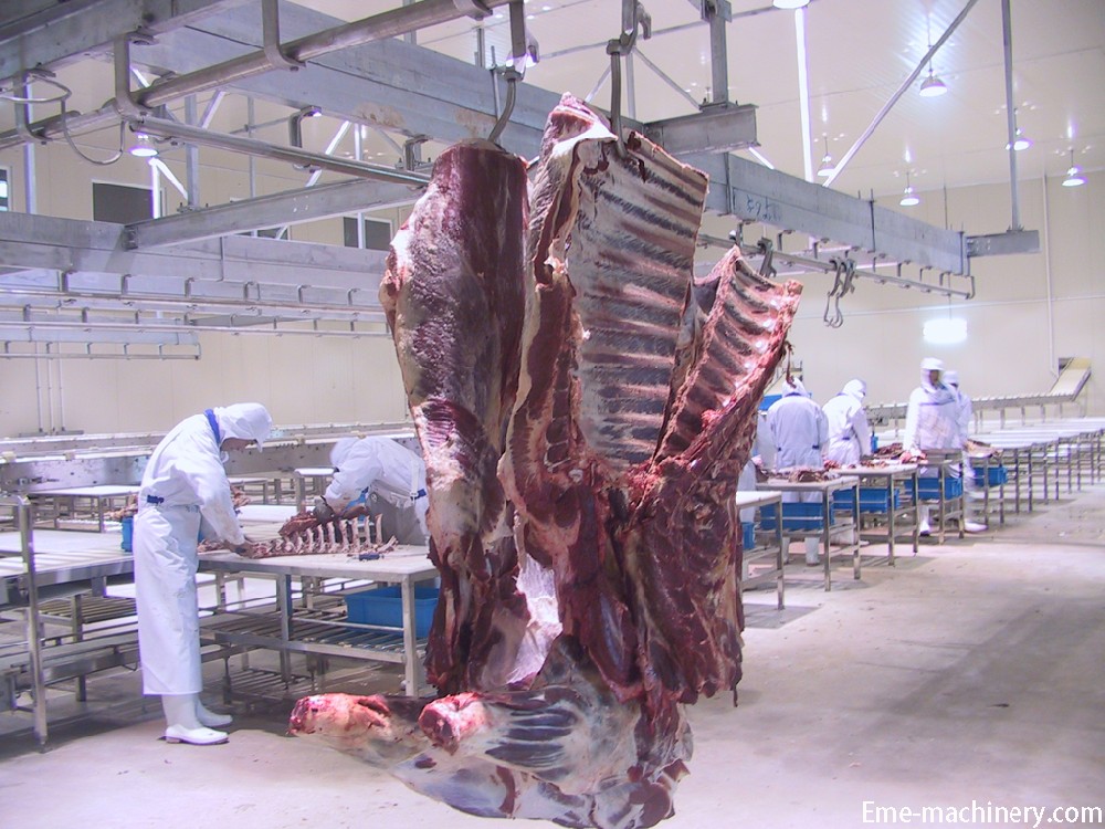Butchery Equipment Cutting Meat Processing Cattle Carcass Boneless Line