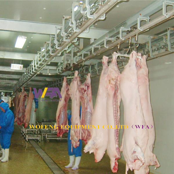 Operación de sacrificio de cerdos Matar cerdos de forma inhumana