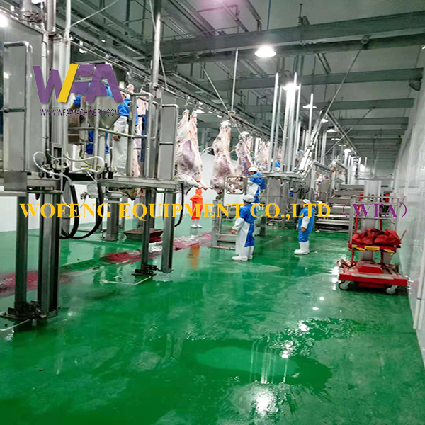 Beef Processing Project Facility for Cattle Slaughterhouse Plant