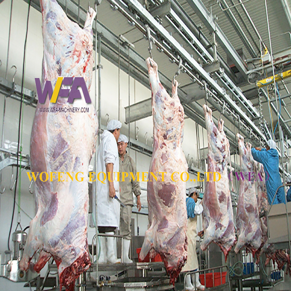 Abattoir de bétail équipement halal pour abattoir de bétail