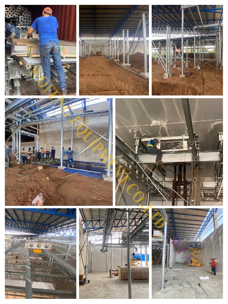 The European Type Cattle & Sheep Slaughter Line Equipment Installation Completed In Bolivia from WFA