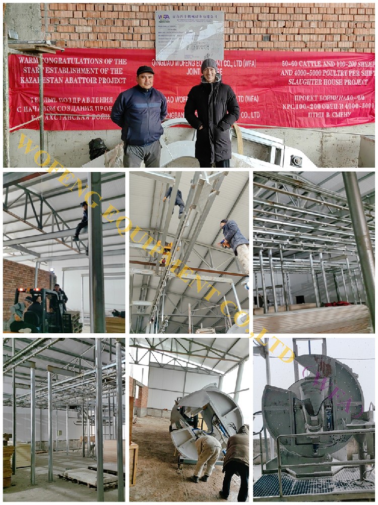 The 100 Cattle / Bull  & 200 Sheep Slaughter Line Equipment Installation Completed In Kazakhstan from WFA in 2024