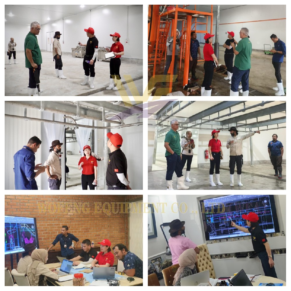 WFA Team's Productive Visit to Client's Slaughterhouse