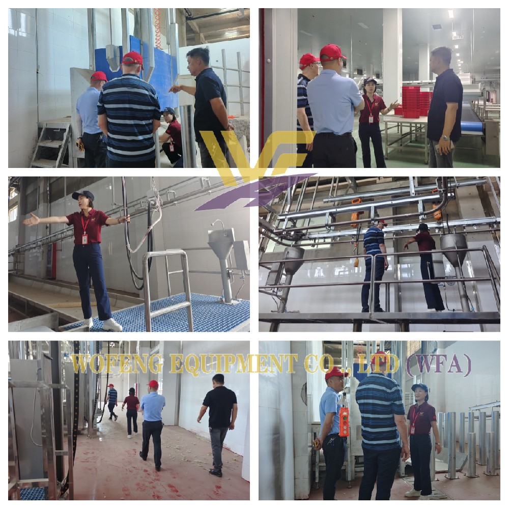 WFA Hosts European Clients, Showcases Slaughterhouse Operations