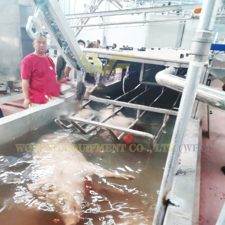 Slaughterhouse Equipment Pork Canal Type Scalding Tank Meat Processing Plant