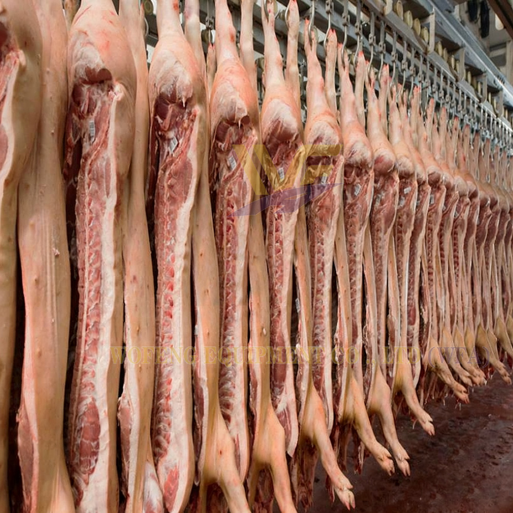 Slaughtering Equipment Pig Carcass Transportation Store Convey Rail Abattoir Plant