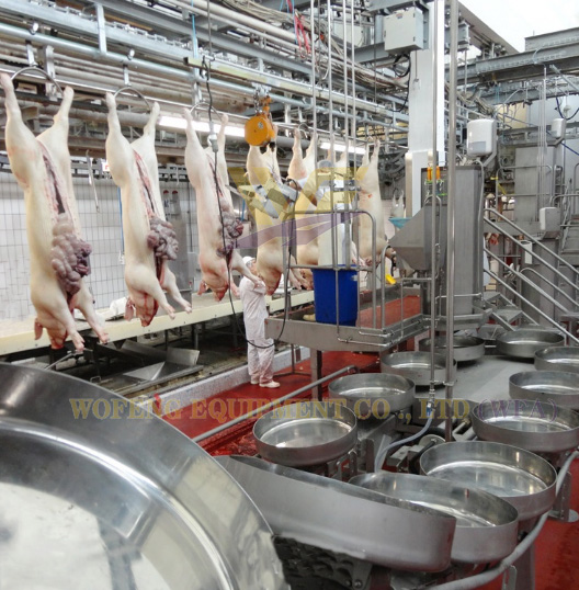 Flow Automatic Pig Abattoir White & red Offal Synchronous Quarantine Conveyor For Slaughterhouse Machinery