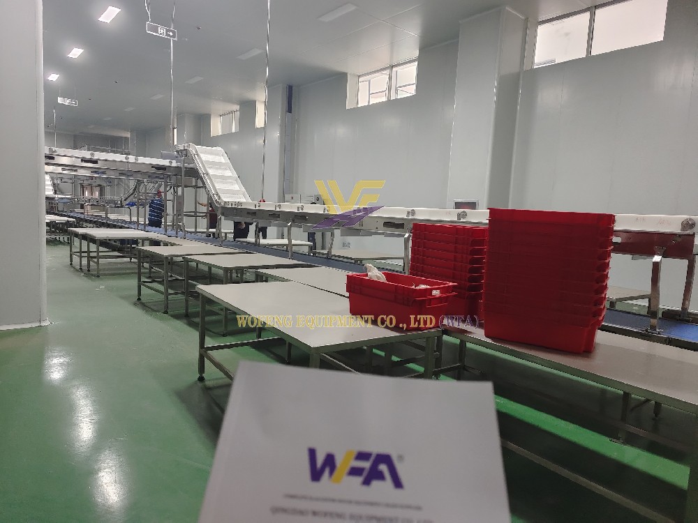 Sheep Carcass Boneless