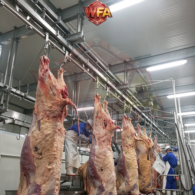 Cattle Dressing Line Conveyor Stepping System for Beef Slaughterhouse | Stainless Steel 304 Automatic Carcass Transfer Conveying System