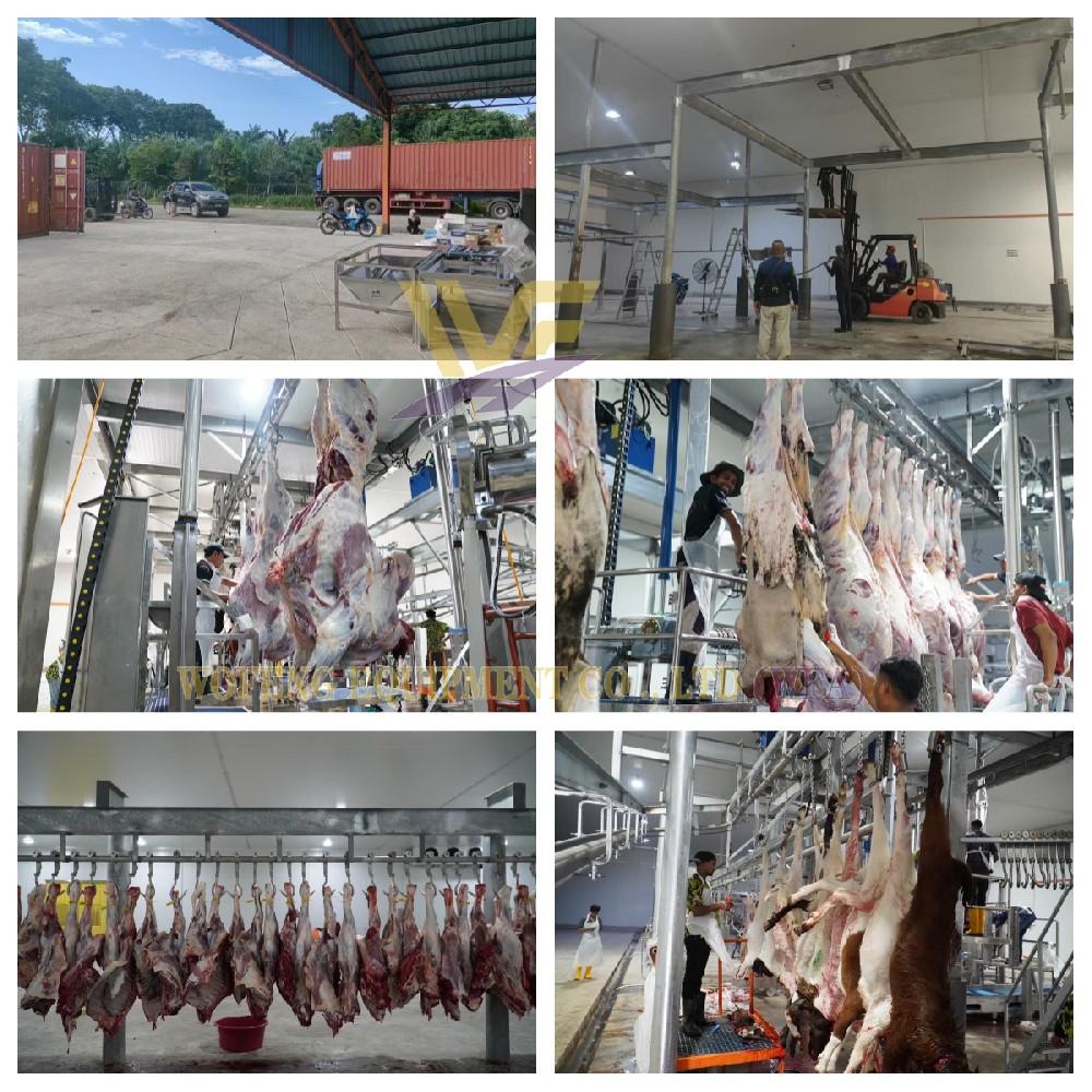 WFA Engineers Ensure Smooth Launch of Client's Cattle and Sheep Slaughterhouse